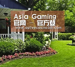 Asia Gaming 官网 - 官方登录入口