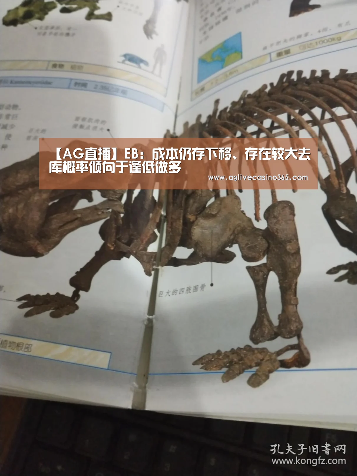 AG综合