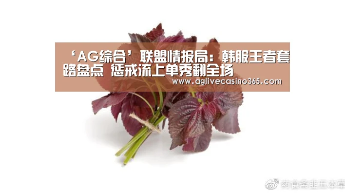 ‘AG综合’联盟情报局:韩服王者套路盘点 惩戒流上单秀翻全场(图3) AG体育