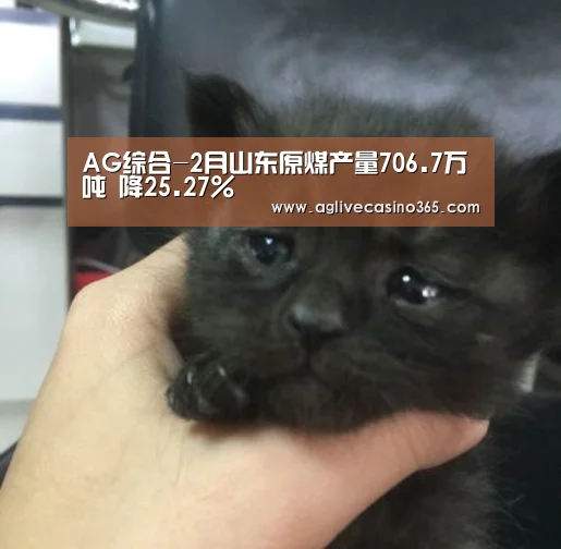 AG体育