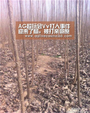 AG超玩会Vv打人事件迎来了局,被打亲哥原谅,Vv发文致歉_AG体育(图4) AG综合